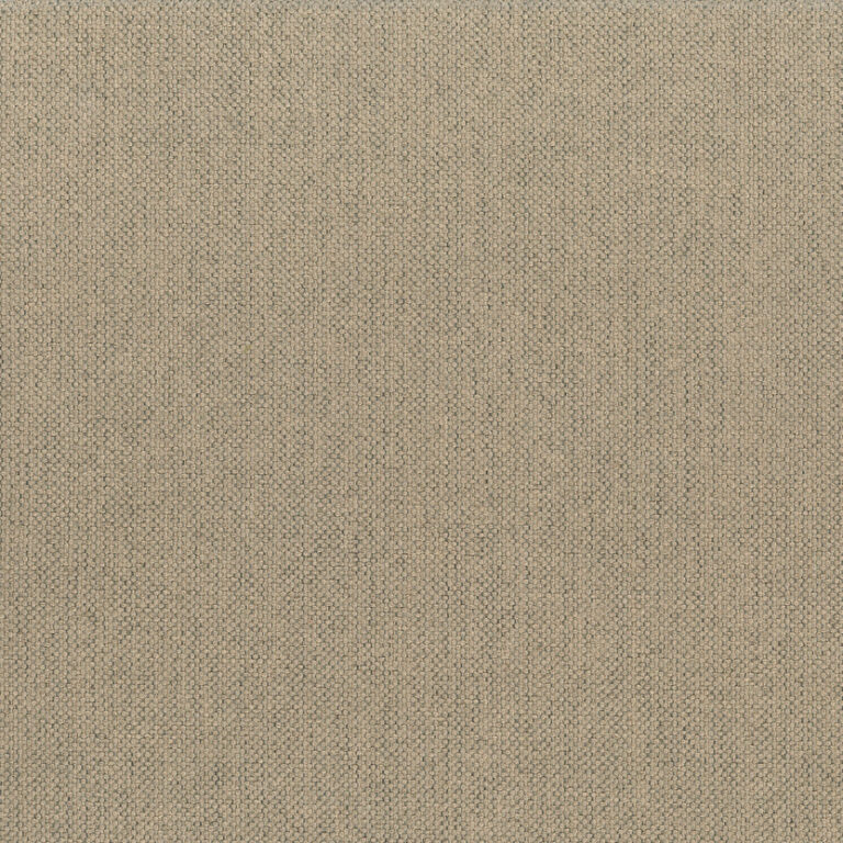 Camel 12
