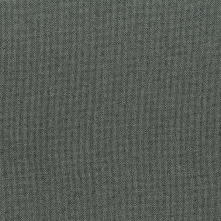 Elephant 05