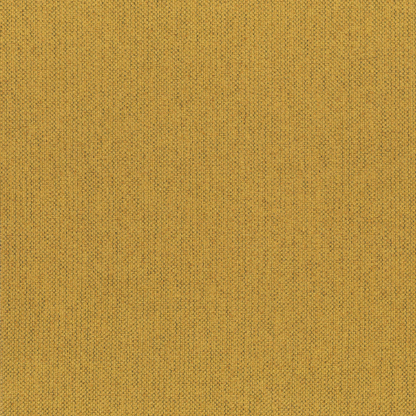 Yellow 18 | Seattle