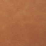 Camel | Soul