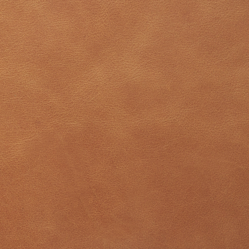 Camel | Soul