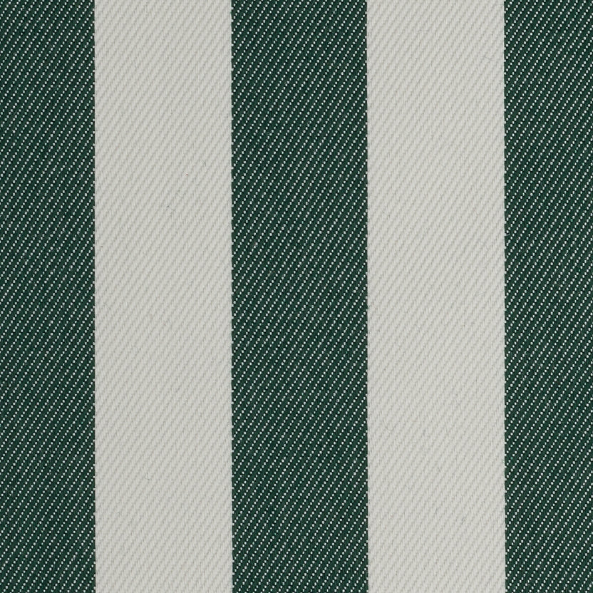 Forest | Sunset Stripes
