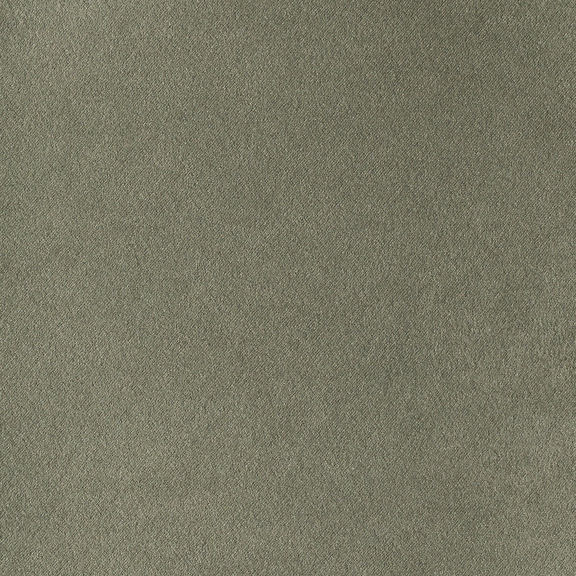 Forest | Supersoft