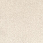 Beige | Shanghai