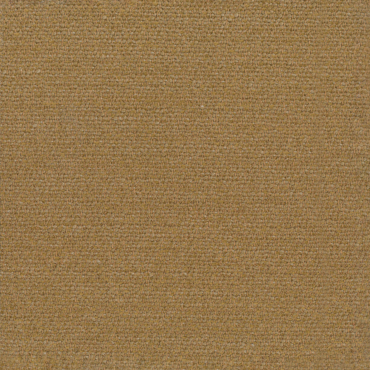 Honey | Tamisa