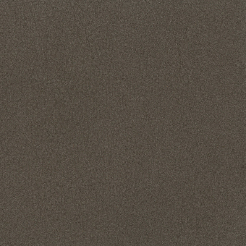 Taupe | Panama