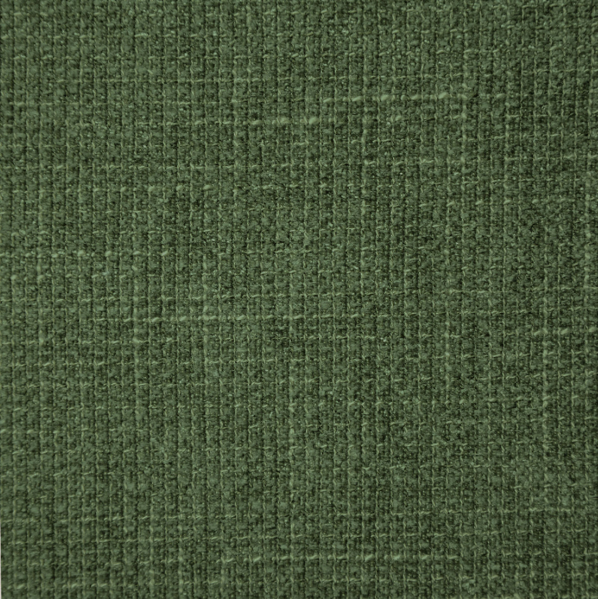 Forest | Tribu
