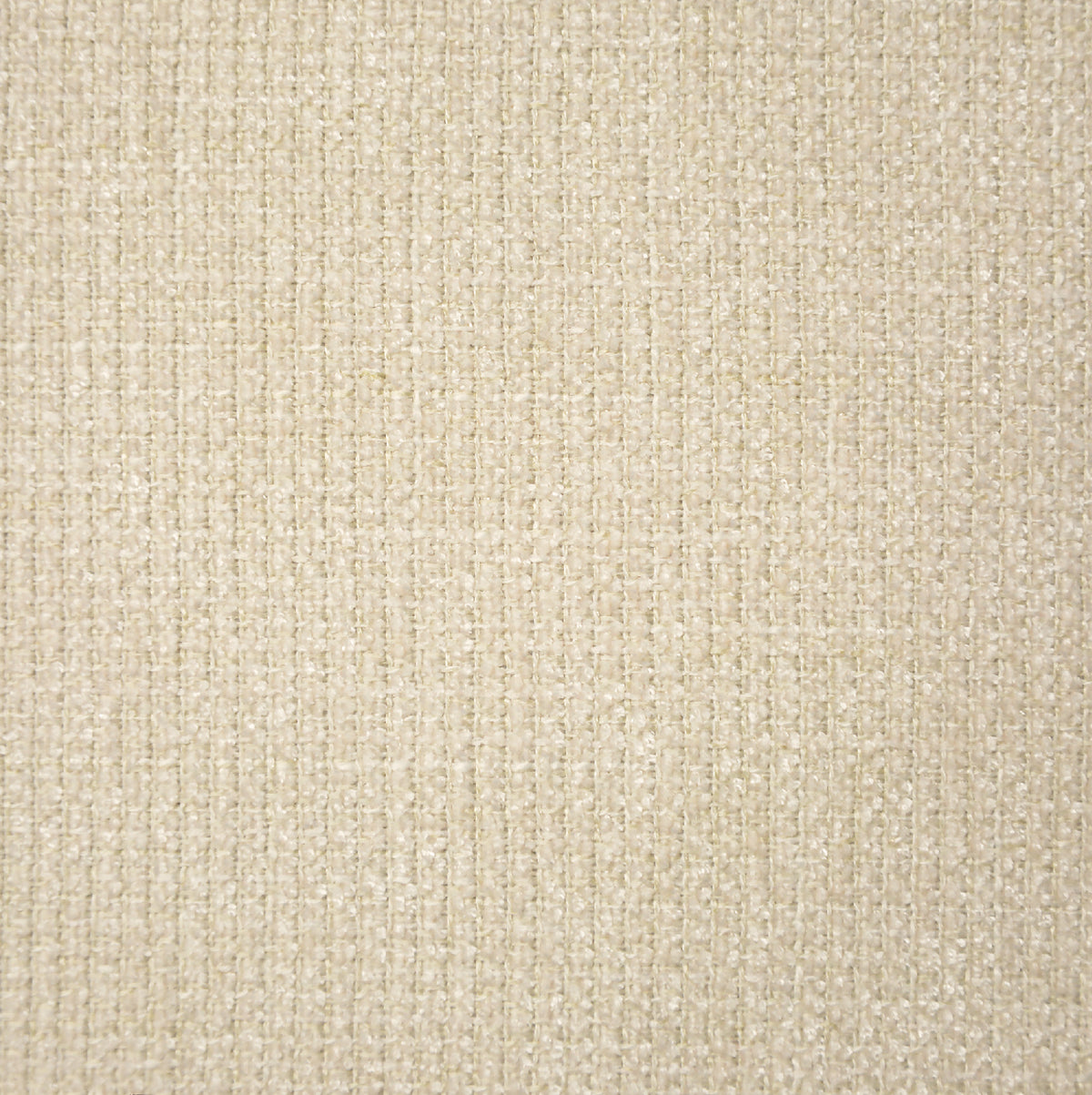 Ivory | Tribu