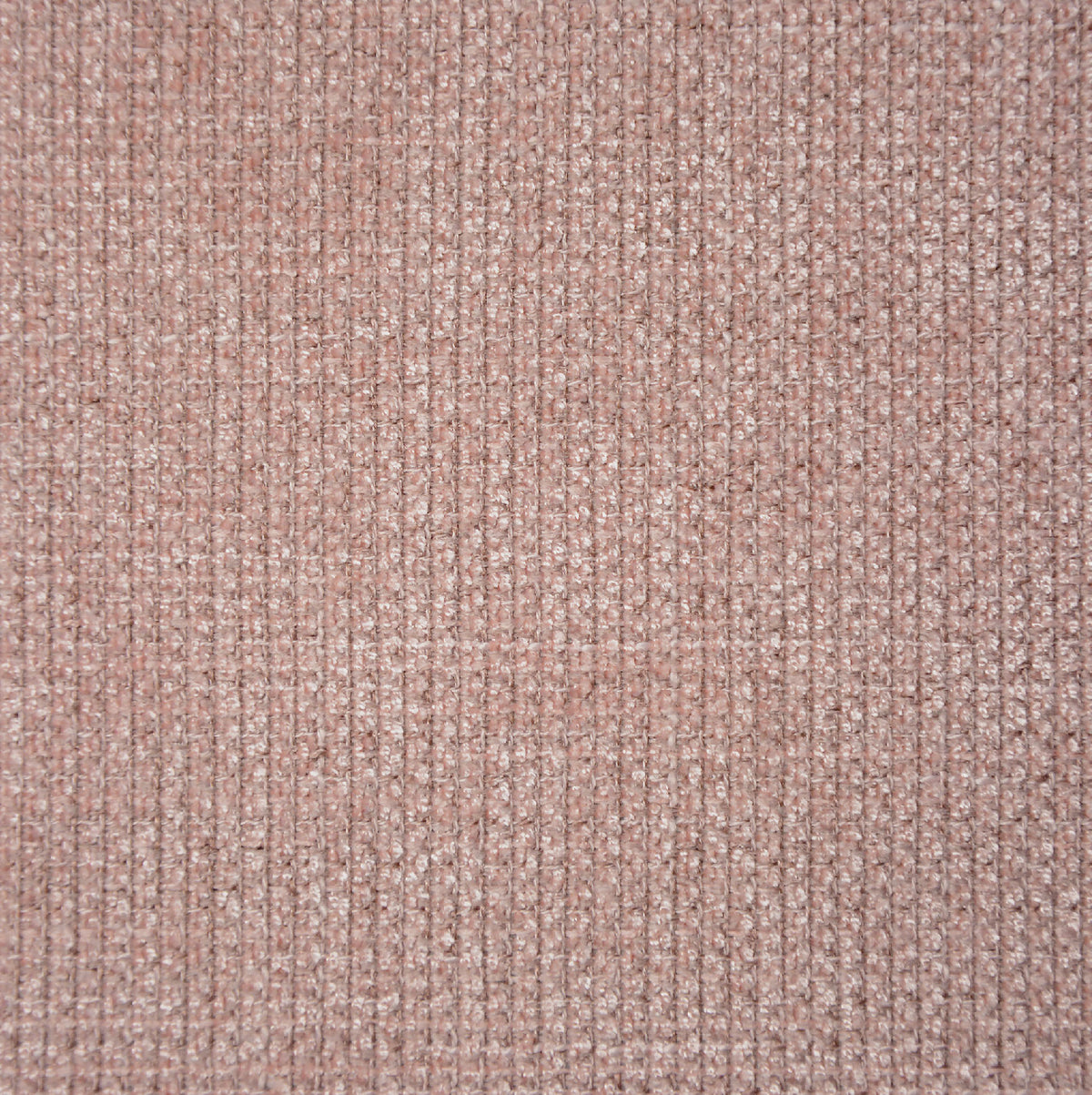 Pink | Tribu