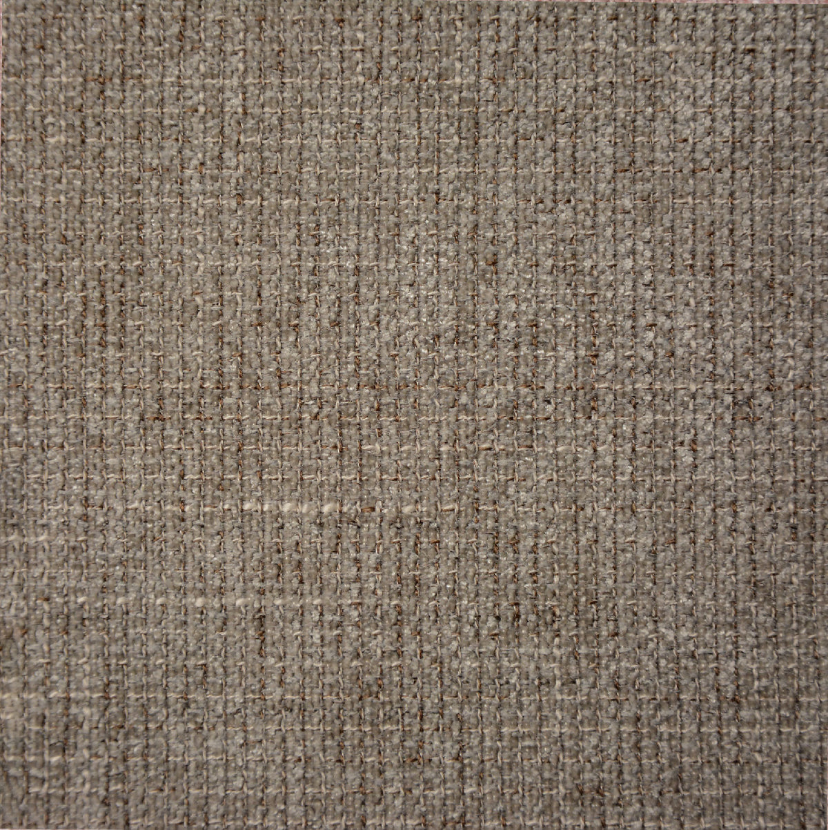 Taupe | Tribu