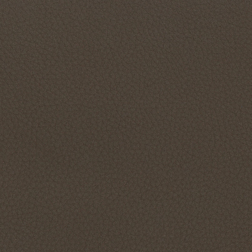 Truffle | Panama