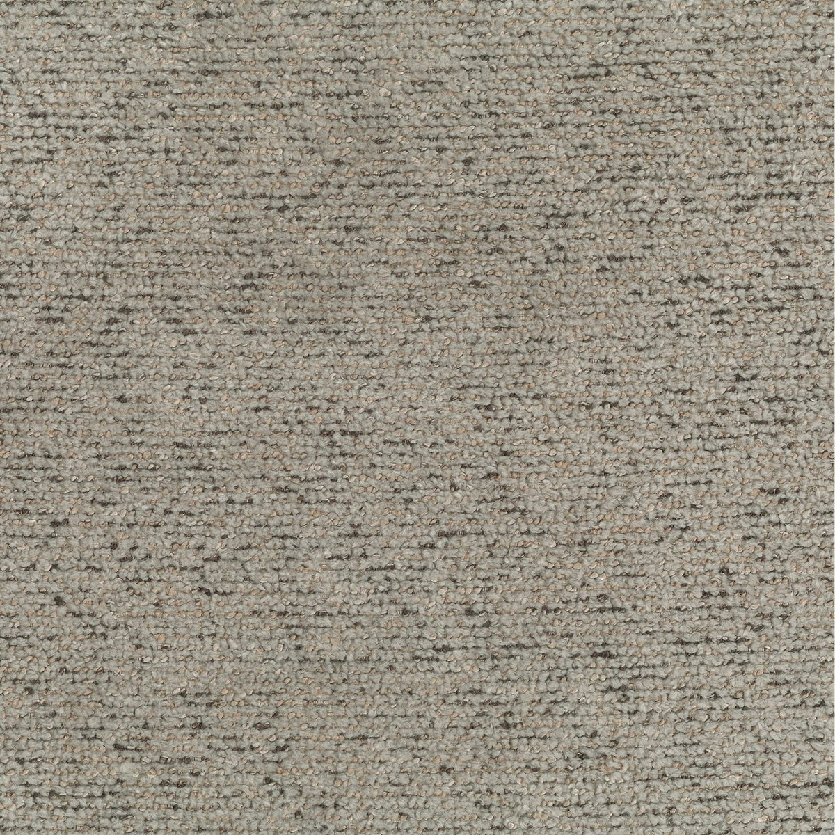 Taupe | Venus