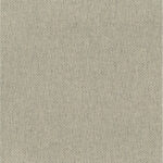 Taupe | Seoul