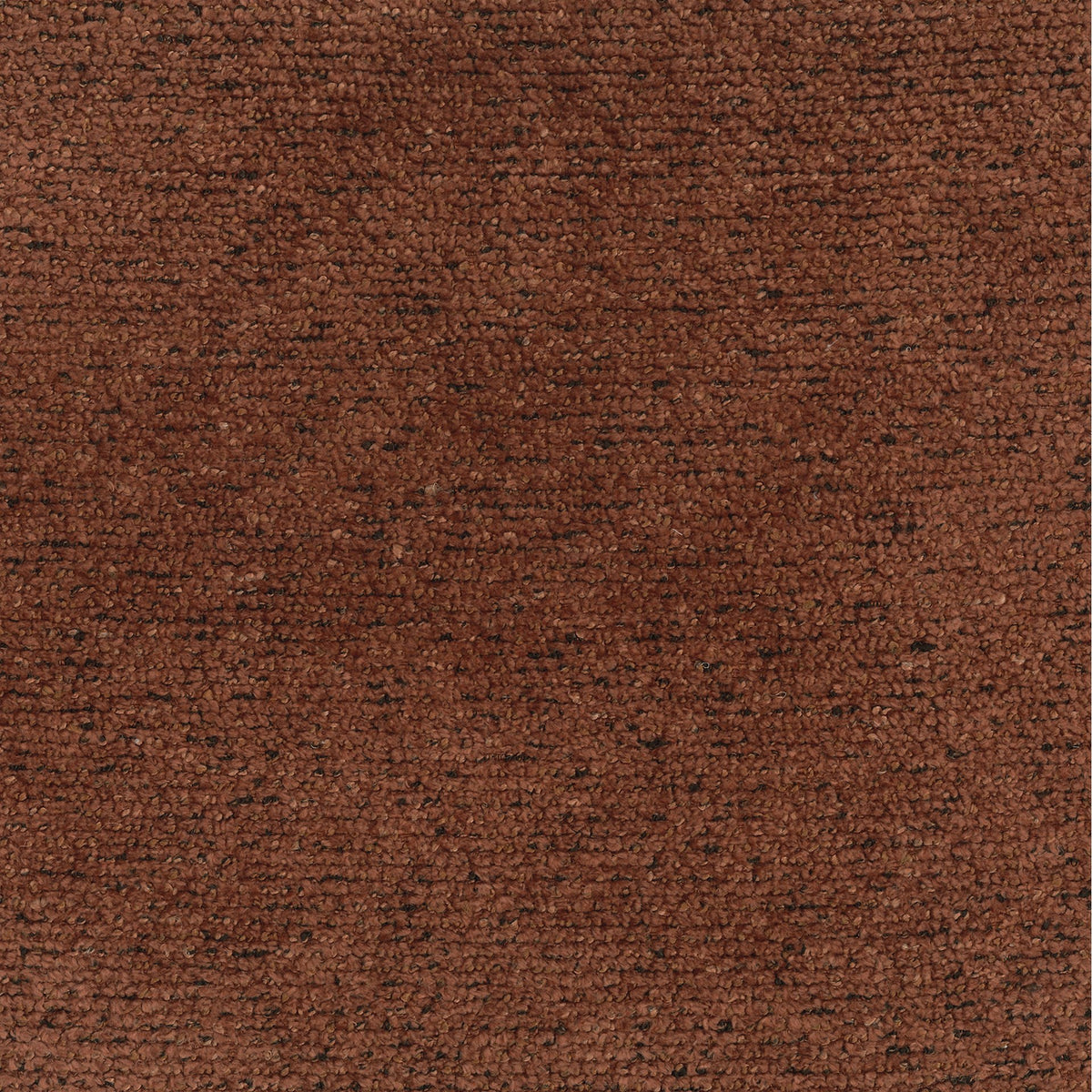 Terracotta | Venus