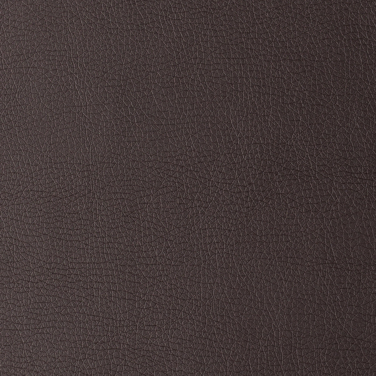 Dark Brown | Uruguay