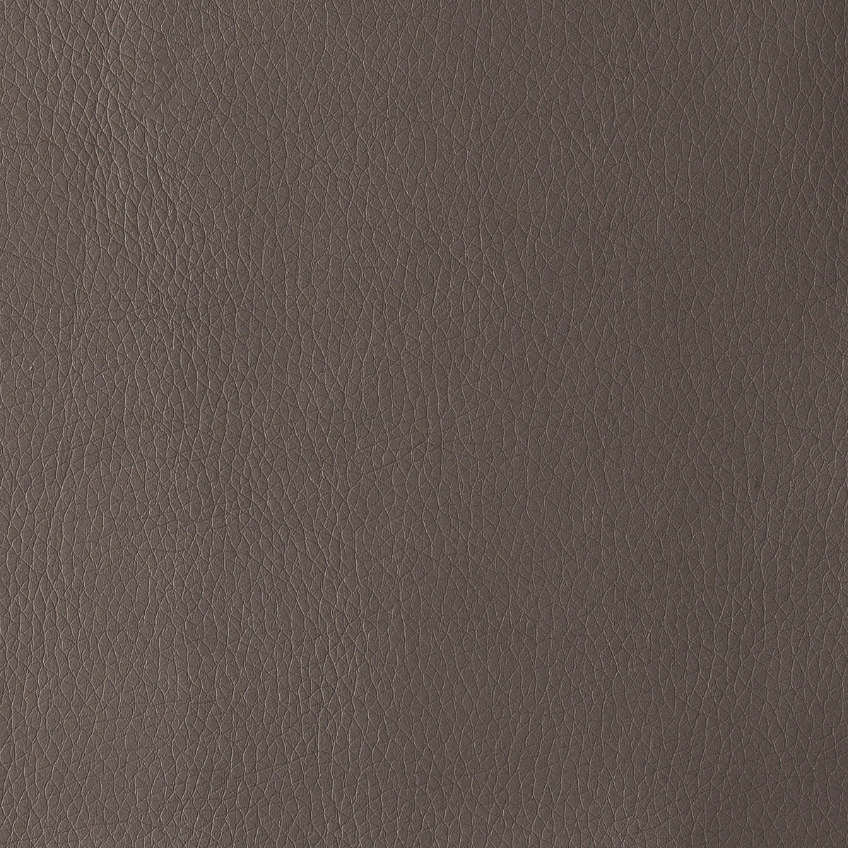 Grey | Uruguay