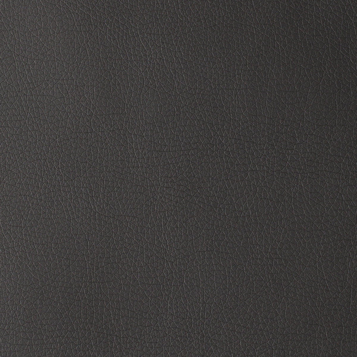 Olive Grey | Uruguay