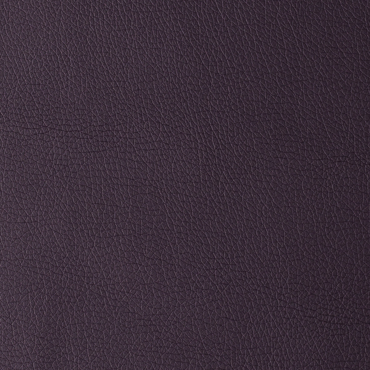 Purple | Uruguay