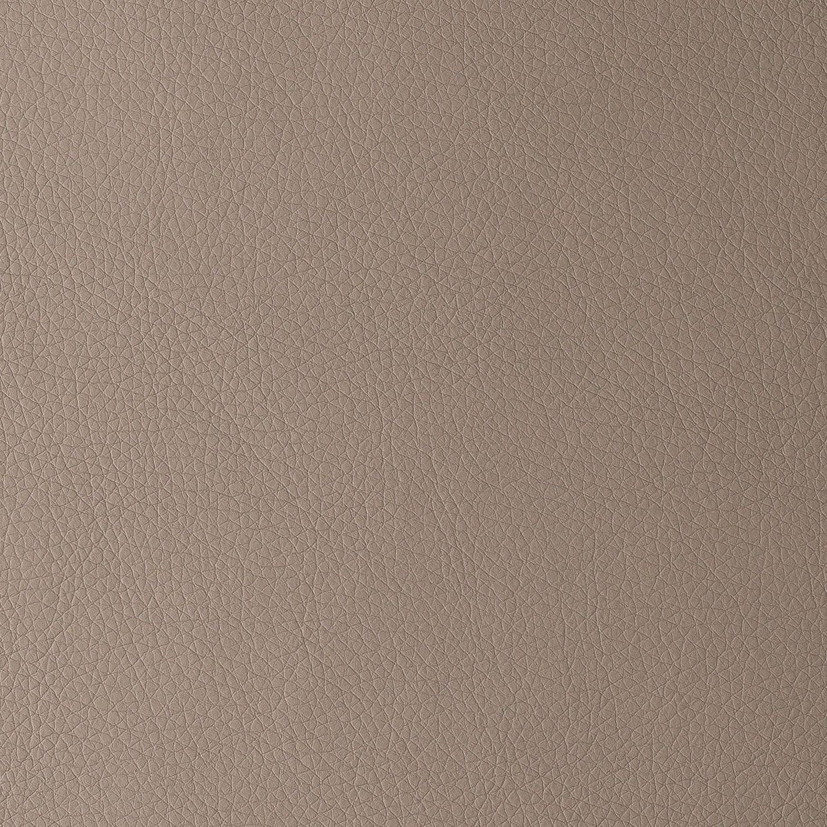 Taupe | Uruguay