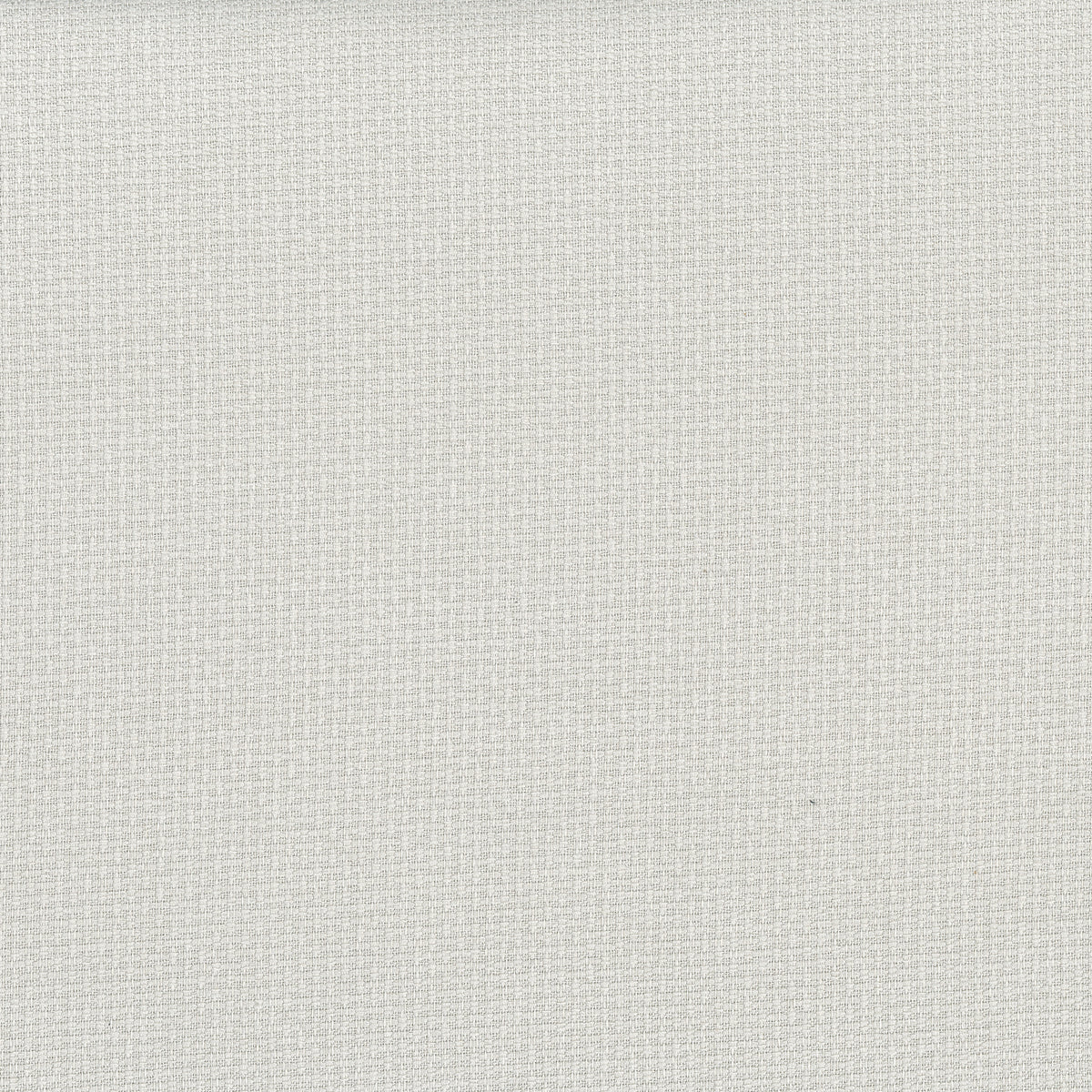 Ivory | Urban