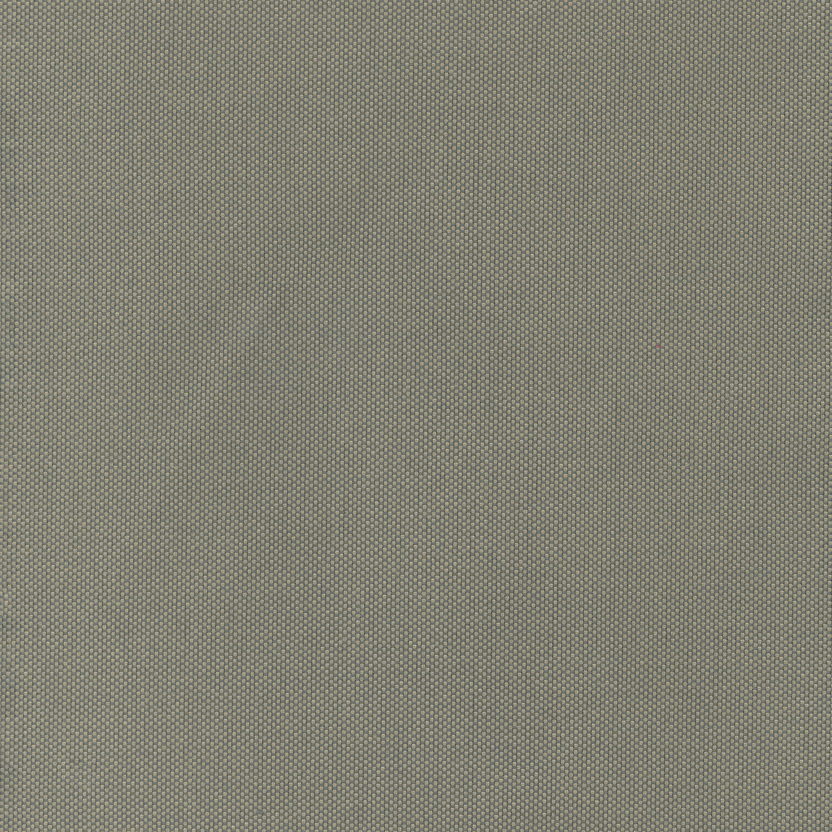 Taupe | Valencia