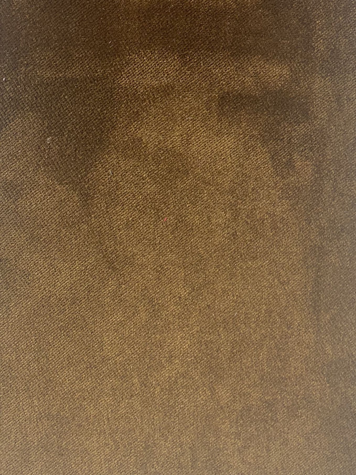 Bronze | Gala