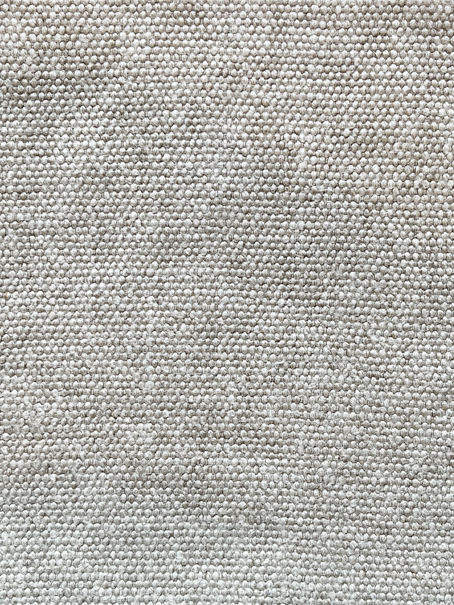 Flax | Massai