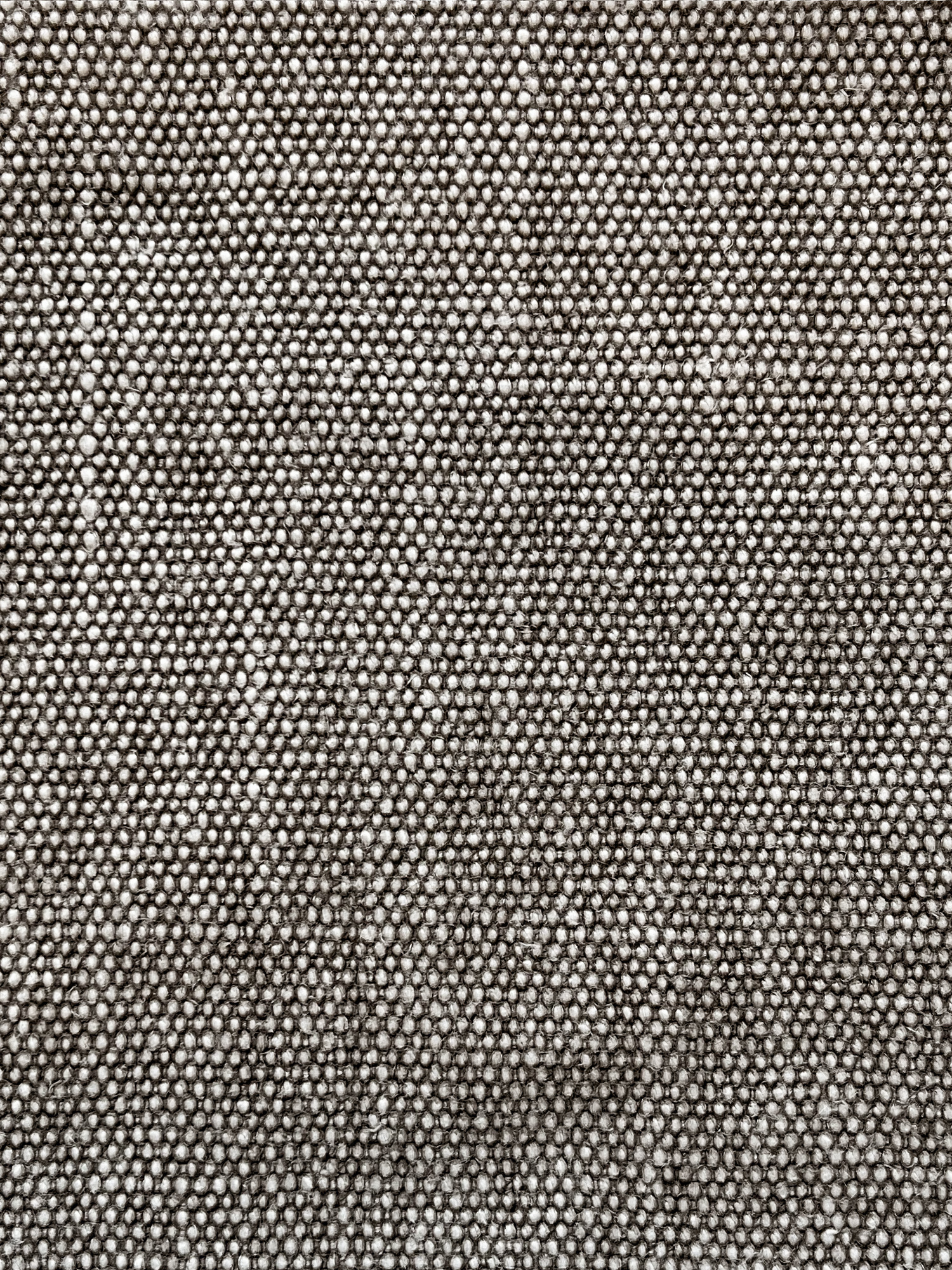 Taupe | Massai