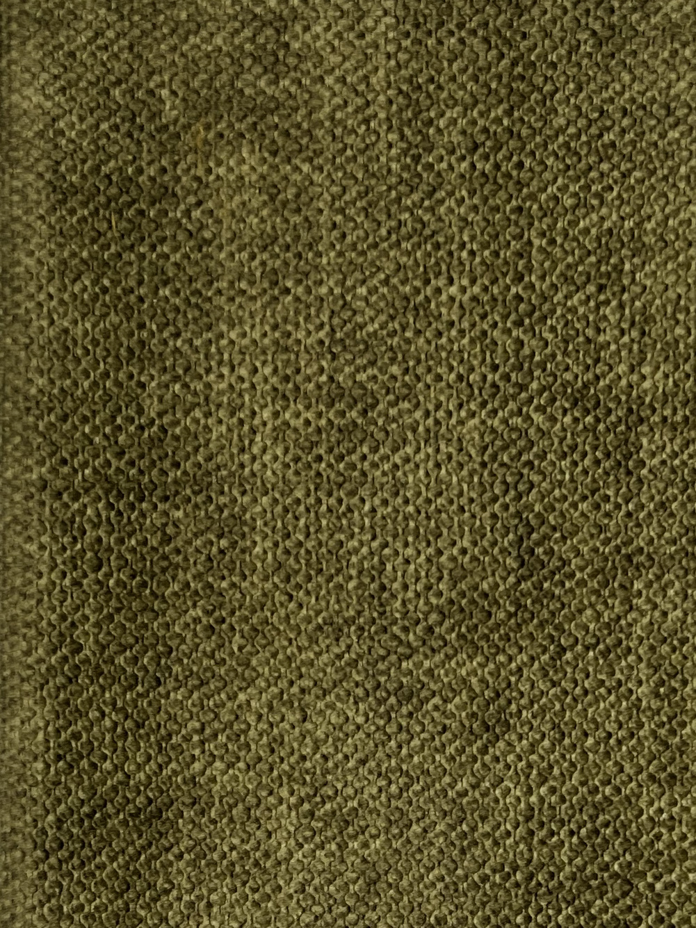 Olive | Vogue