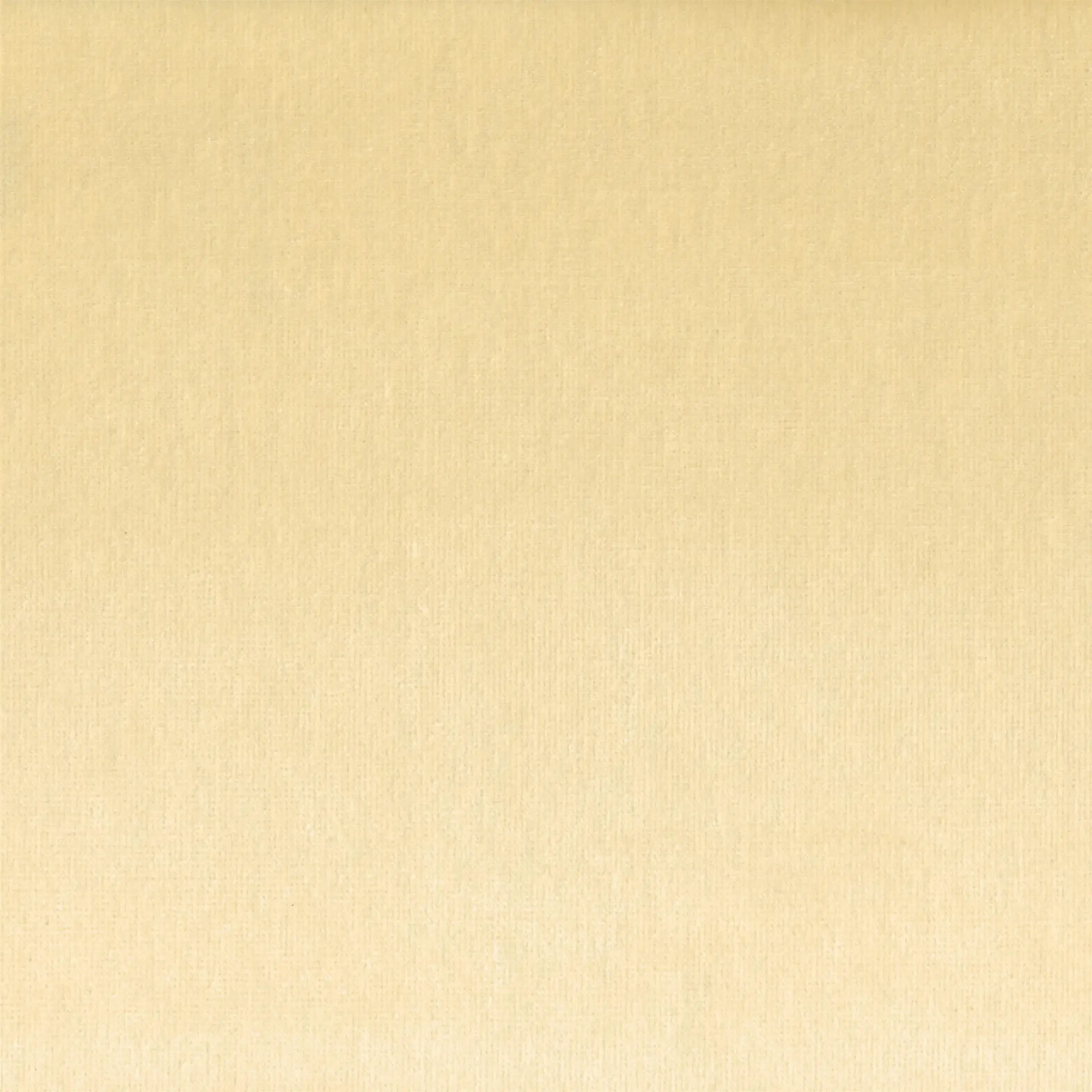 White 01 | Yaron