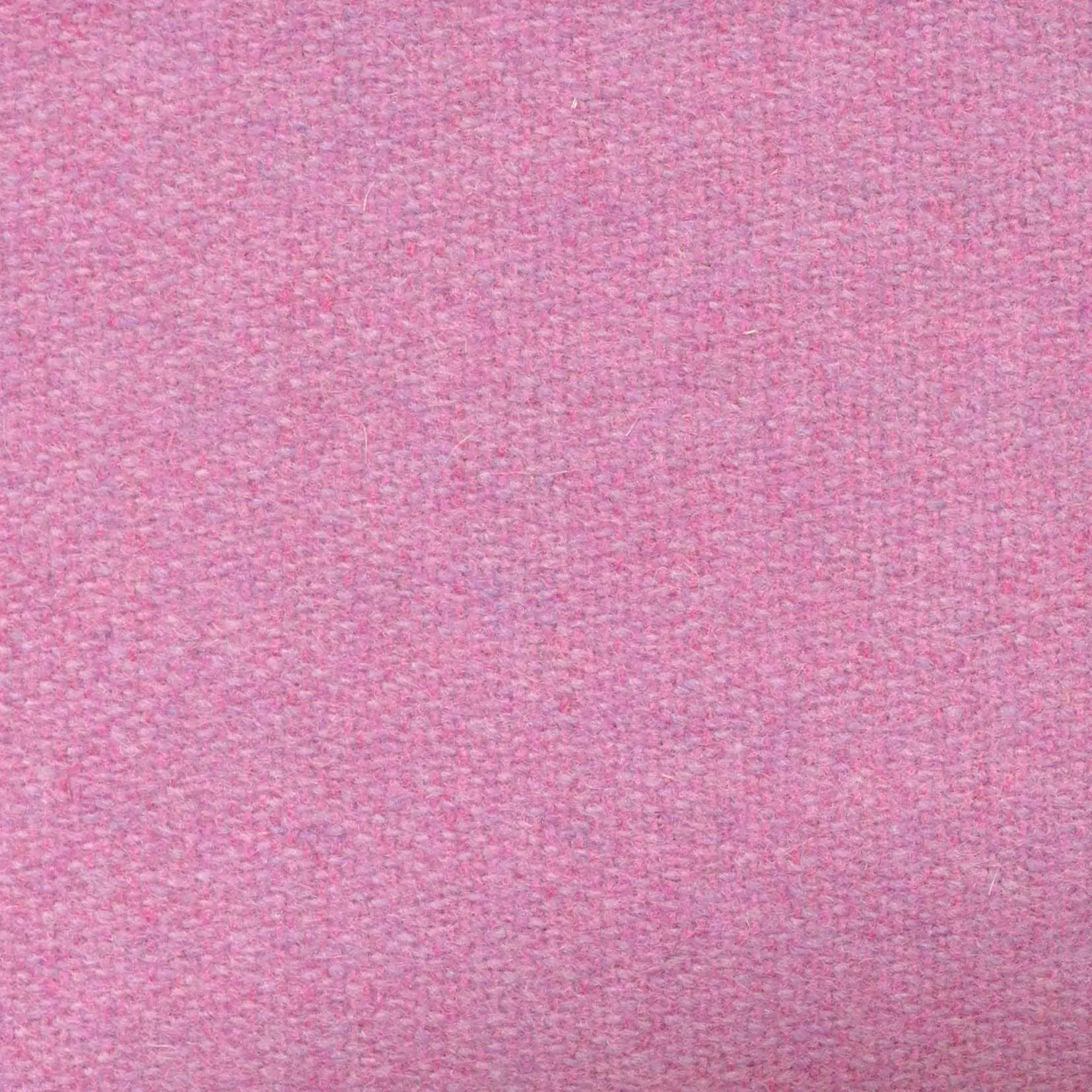 Blossom 448 | Savoy FR