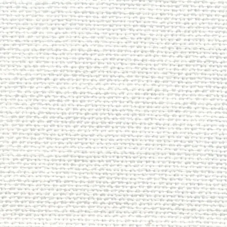 Snow 1