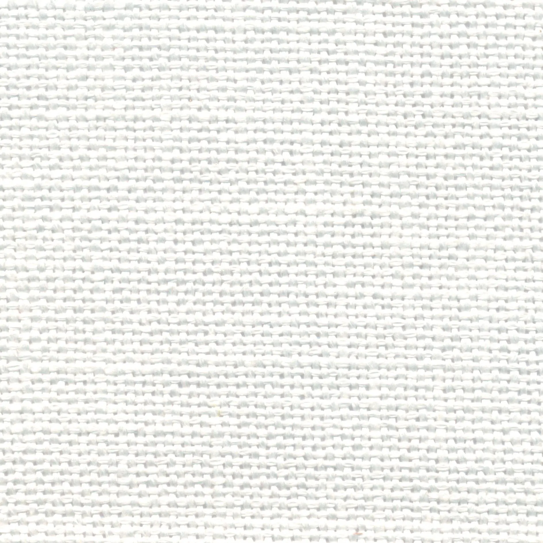 Snow 1 | Salma