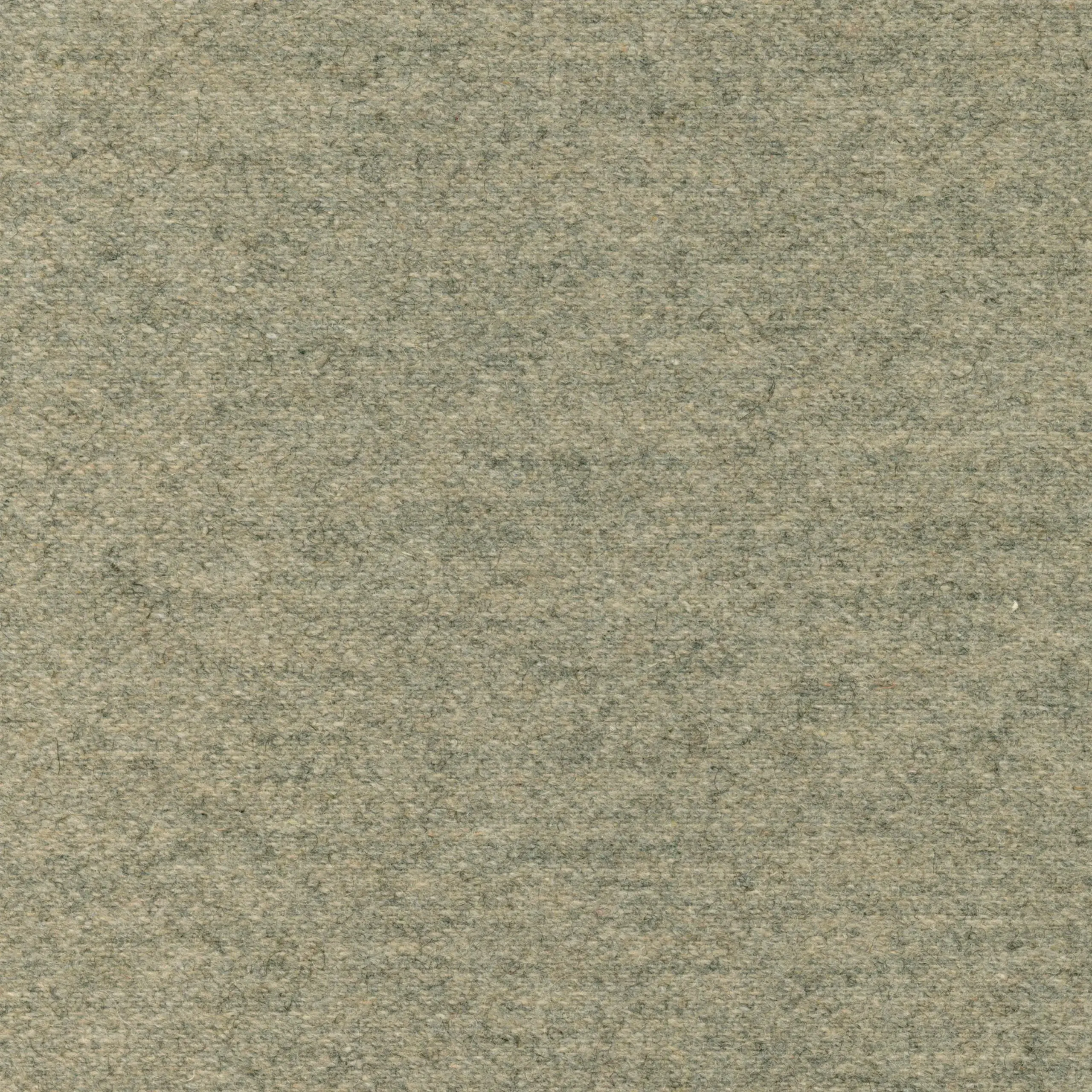 Biscuit 17 | Wool