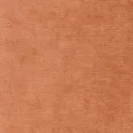 Coral 37 | Verner
