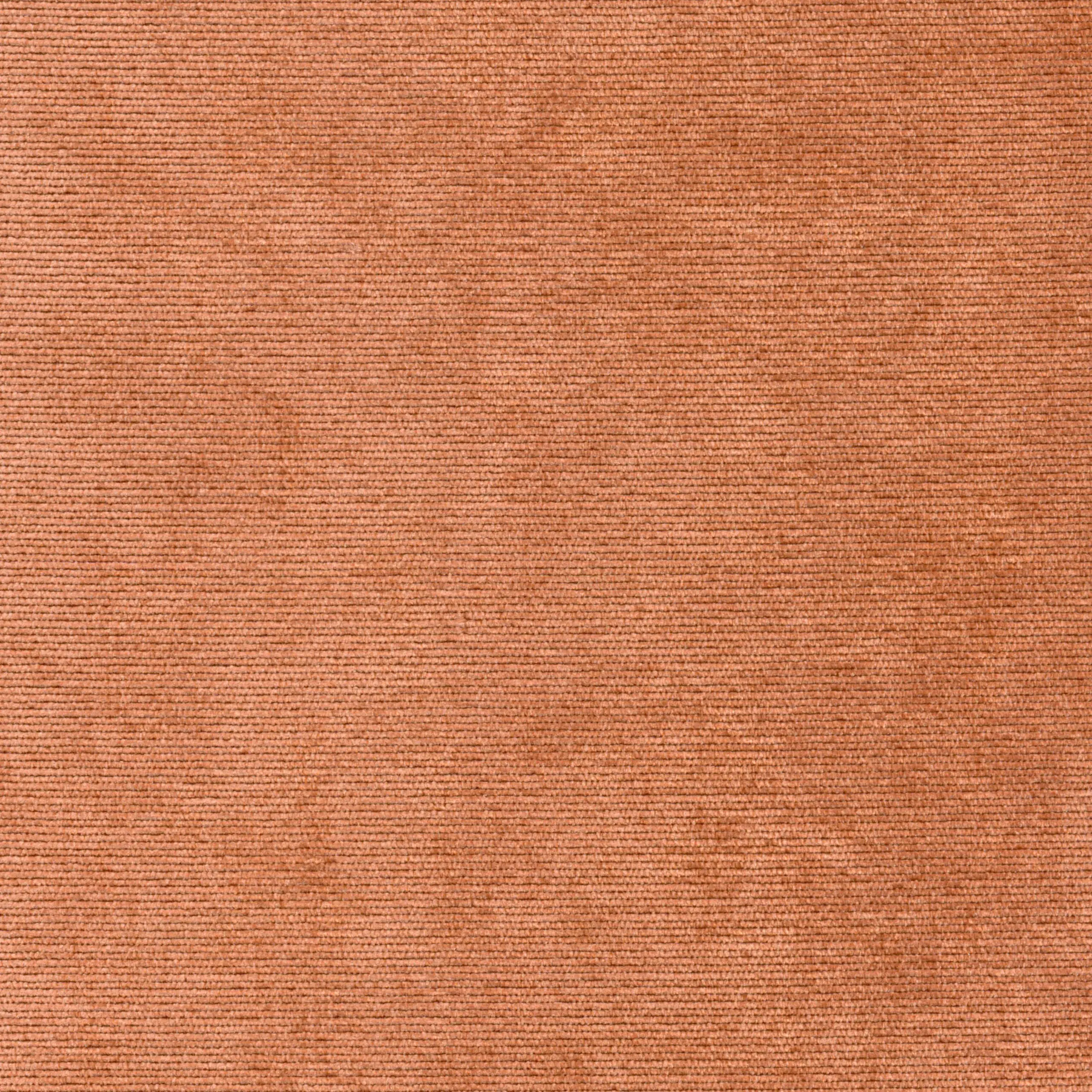 Coral 37 | Verner
