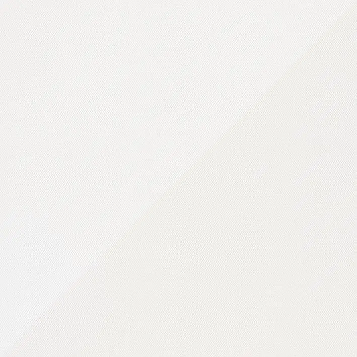 Snow 04