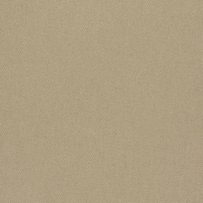 Putty 11 | Roger