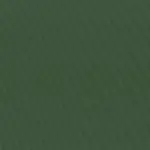 Asparagus 81 | Nazario FR