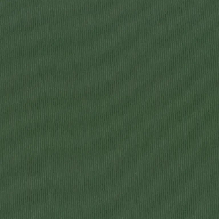 Asparagus 81