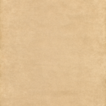 Beige 02 | Samanta