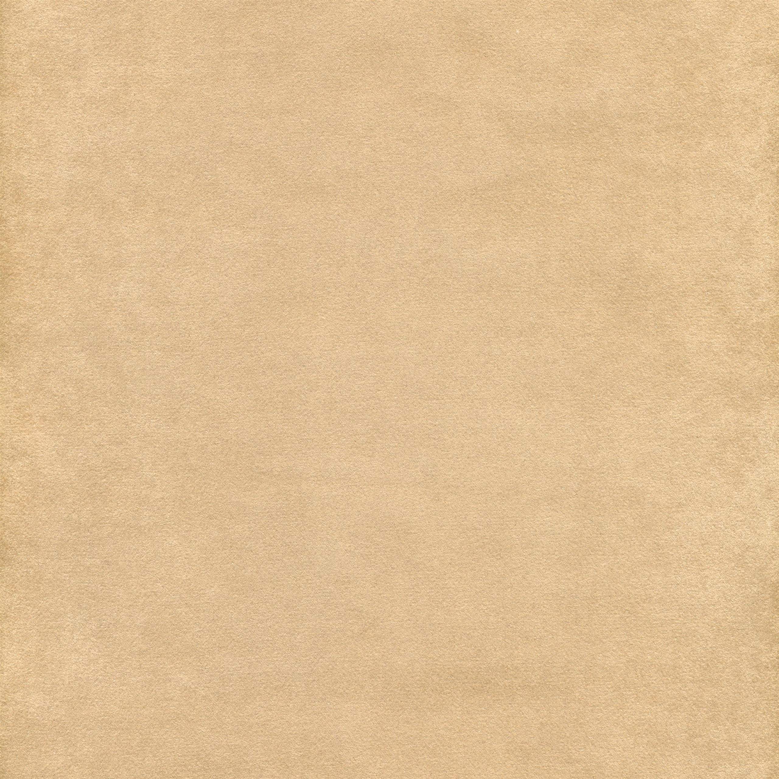 Beige 02 | Samanta