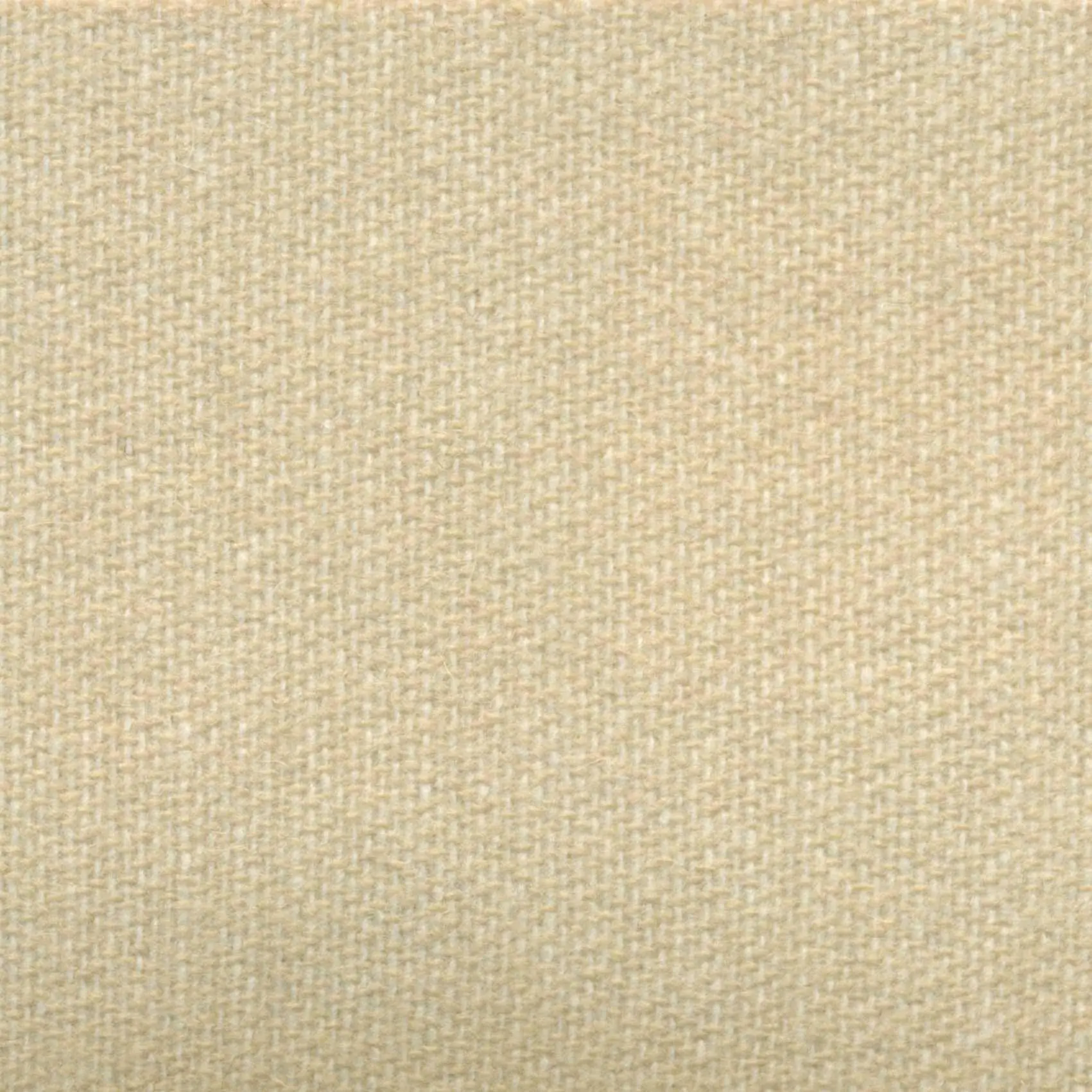 Cream 471 | Savoy FR