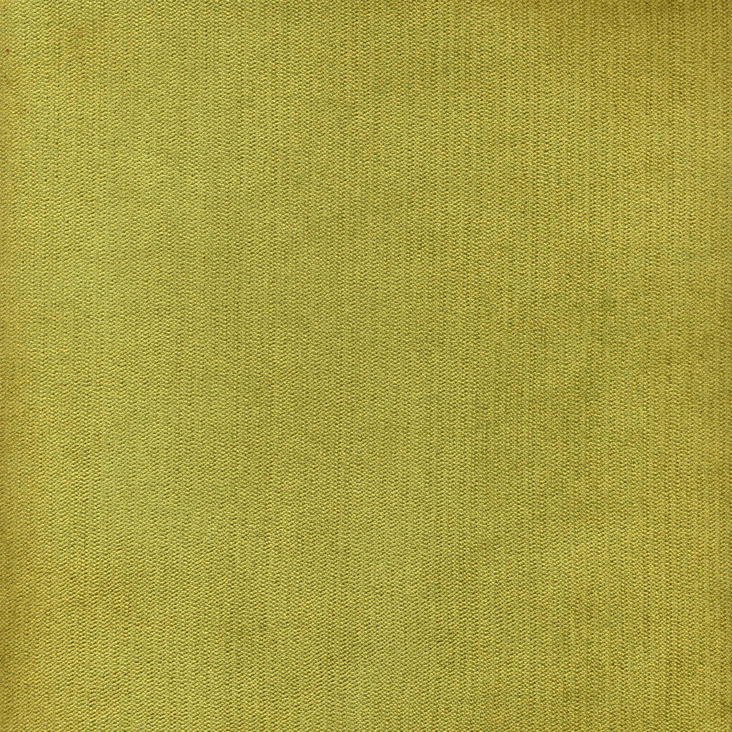 Bamboo 23 | Palmer