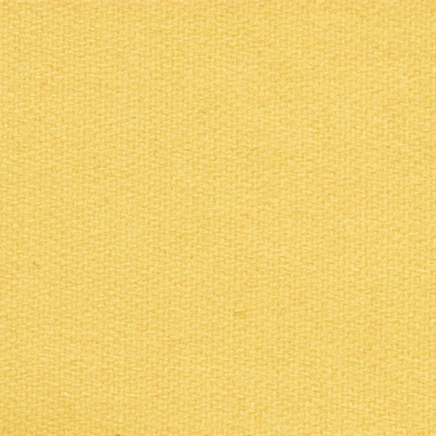 Banana 437 | Savoy FR