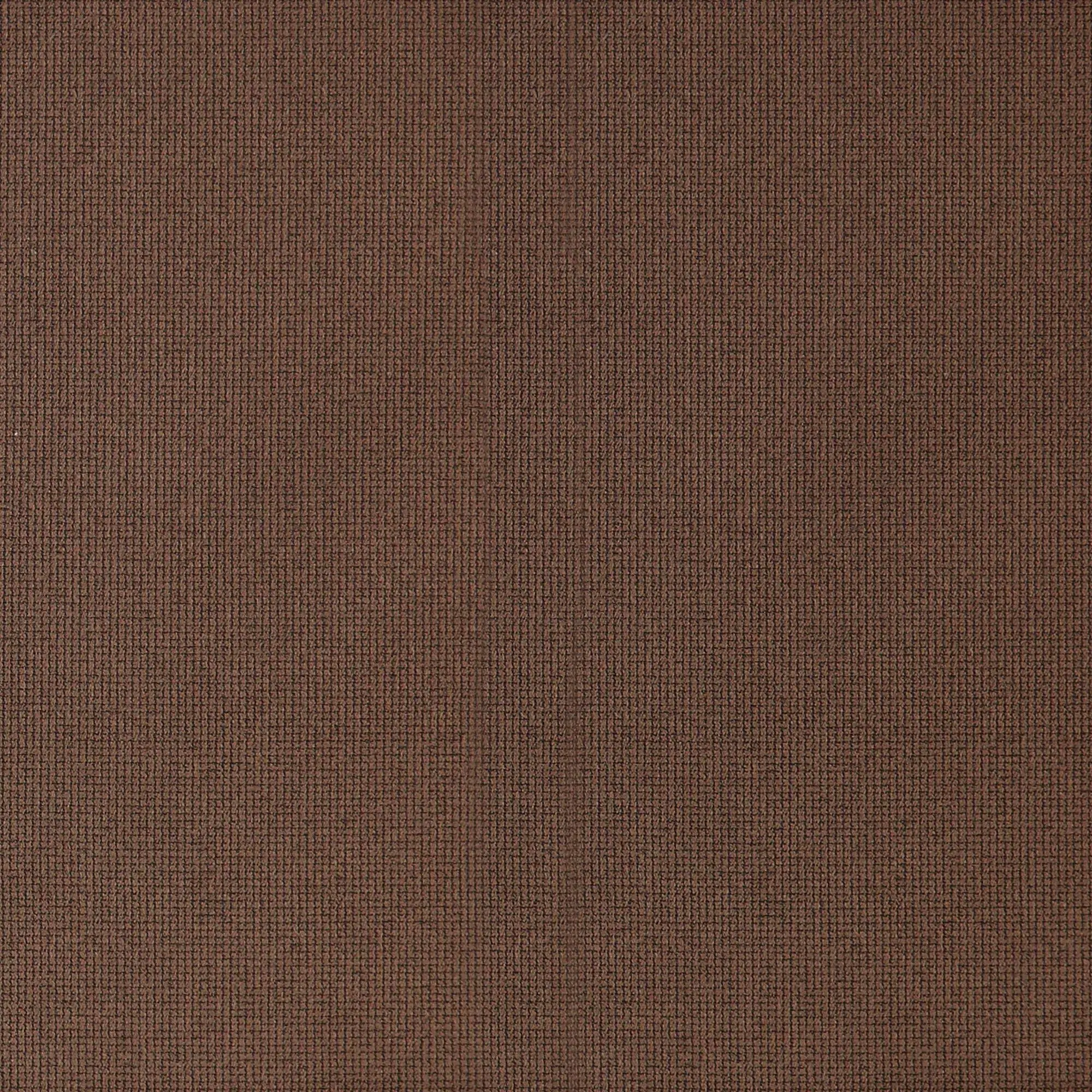 Brownie 026 | Paragon