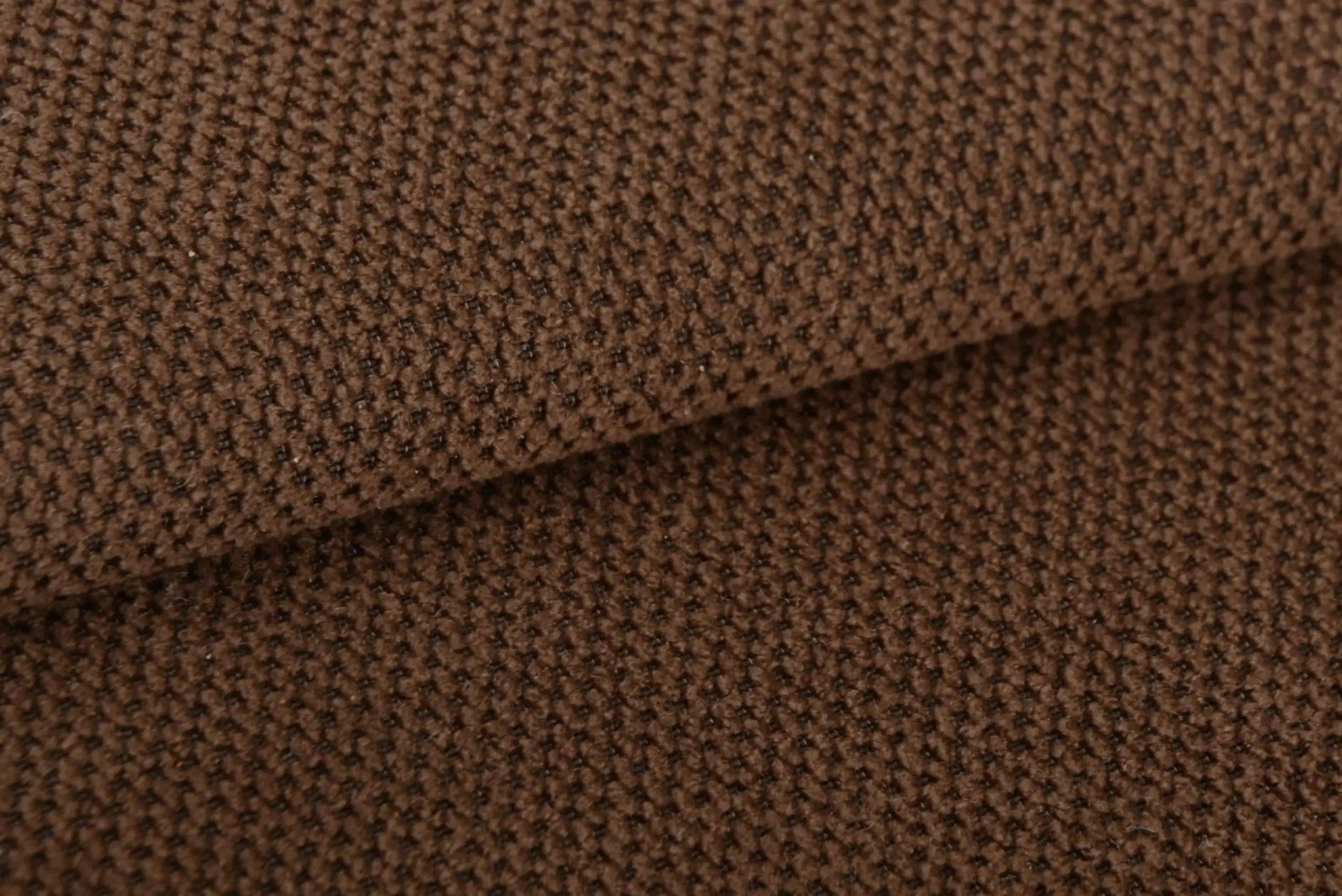 Pinecone 021 | Robust
