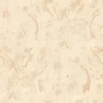 Biscuit 24 | Midori