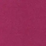 Fuchsia 003 | Norma