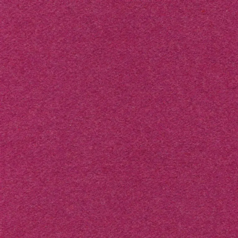 Fuchsia 003